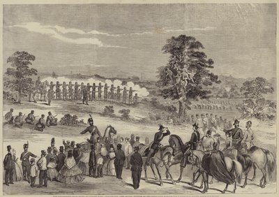 The Volunteers